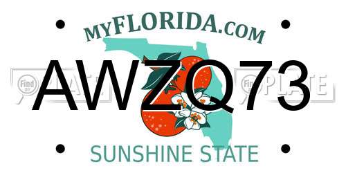 AWZQ73 Florida License Plate