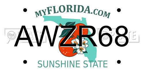 AWZR68 Florida License Plate