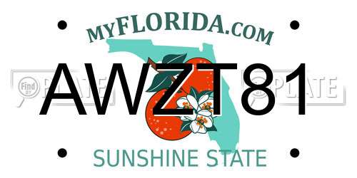 AWZT81 Florida License Plate