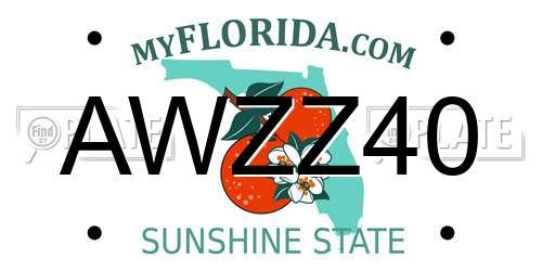 AWZZ40 Florida License Plate