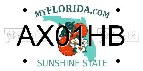 AX01HB Florida License Plate