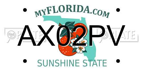AX02PV Florida License Plate