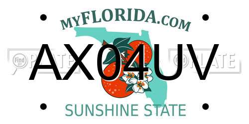 AX04UV Florida License Plate