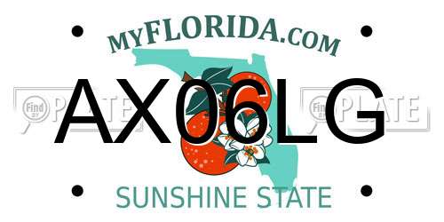 AX06LG Florida License Plate