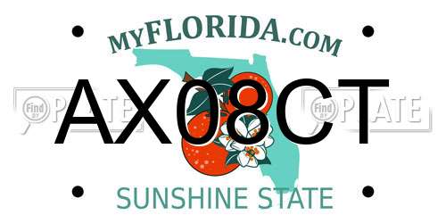 AX08CT Florida License Plate