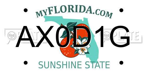 AX0D1G Florida License Plate