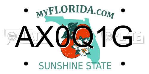 AX0Q1G Florida License Plate