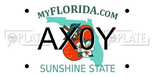 AX0Y Florida License Plate