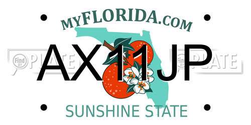 AX11JP Florida License Plate