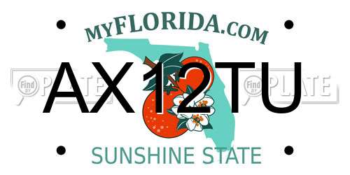 AX12TU Florida License Plate
