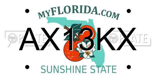 AX13KX Florida License Plate