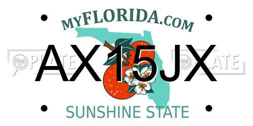 AX15JX Florida License Plate