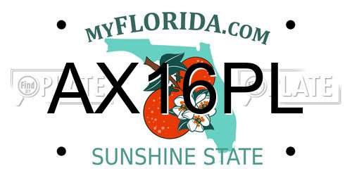 AX16PL Florida License Plate