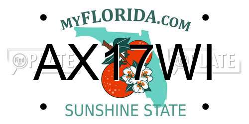 AX17WI Florida License Plate