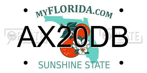 AX20DB Florida License Plate
