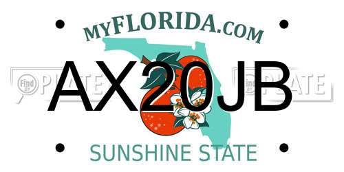 AX20JB Florida License Plate