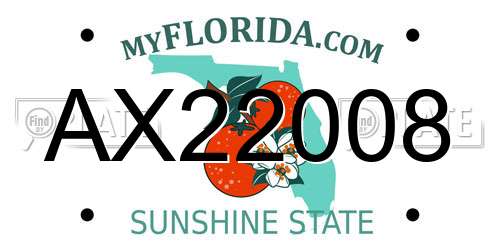AX22008 Florida License Plate