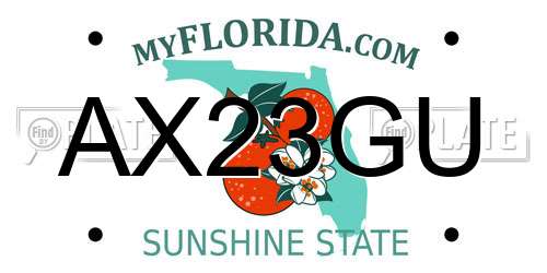 AX23GU Florida License Plate