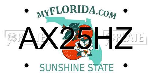 AX25HZ Florida License Plate