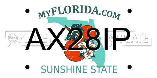 AX28IP Florida License Plate