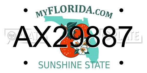 AX29887 Florida License Plate