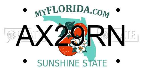 AX29RN Florida License Plate