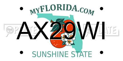AX29WI Florida License Plate