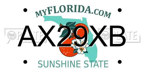 AX29XB Florida License Plate