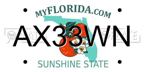 AX33WN Florida License Plate