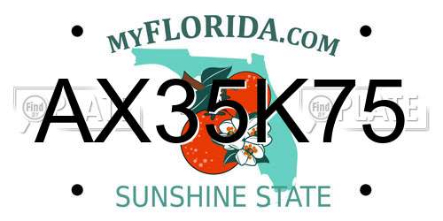 AX35K75 Florida License Plate