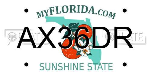 AX36DR Florida License Plate