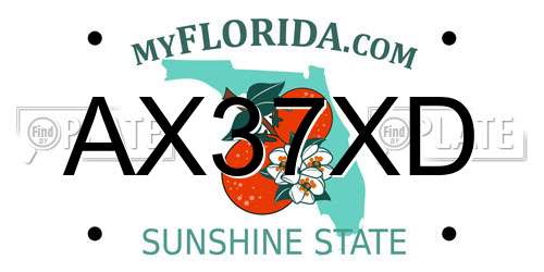 AX37XD Florida License Plate