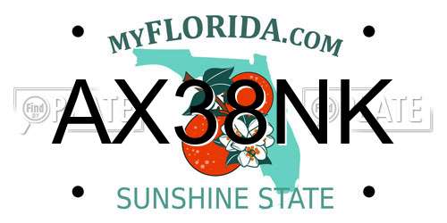 AX38NK Florida License Plate