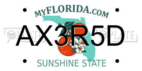AX3R5D Florida License Plate