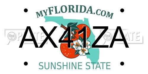 AX41ZA Florida License Plate