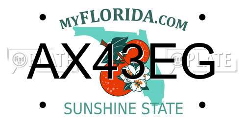 AX43EG Florida License Plate