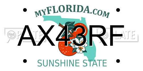 AX43RF Florida License Plate