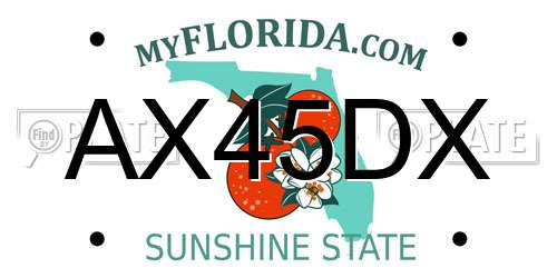 AX45DX Florida License Plate