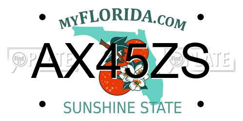 AX45ZS Florida License Plate