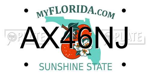 AX46NJ Florida License Plate