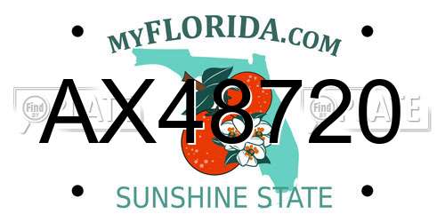AX48720 Florida License Plate