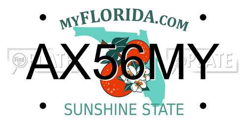 AX56MY Florida License Plate