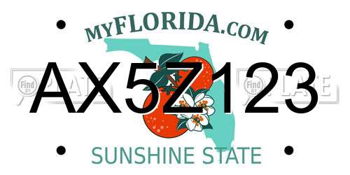 AX5Z123 Florida License Plate