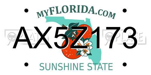 AX5Z173 Florida License Plate