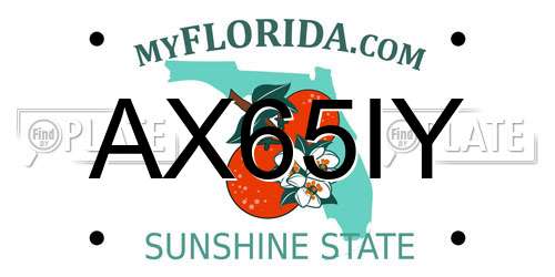 AX65IY Florida License Plate