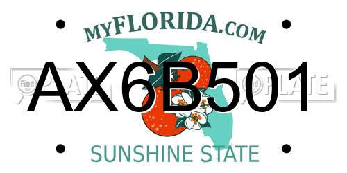 AX6B501 Florida License Plate
