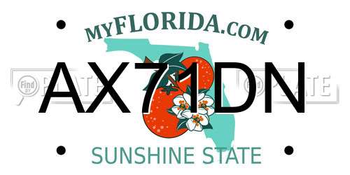 AX71DN Florida License Plate