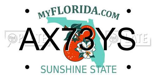 AX73YS Florida License Plate
