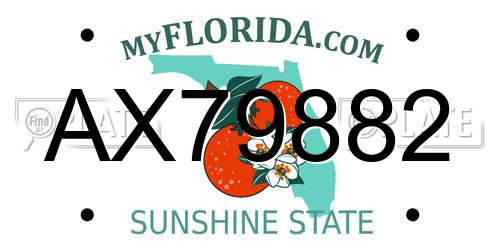 AX79882 Florida License Plate