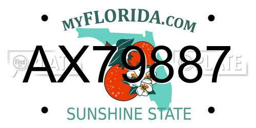 AX79887 Florida License Plate